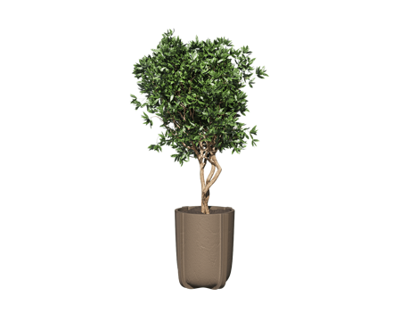  Serralunga 花箱绿植3d模型 