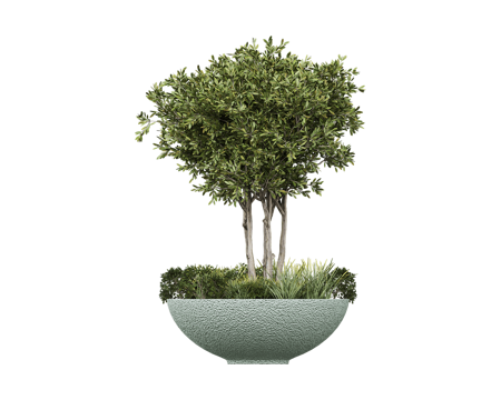  Serralunga 花盆绿植3d模型 