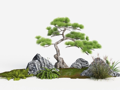 造型松 景观松 罗汉松 迎客松 室内景观 室内造型景观su模型