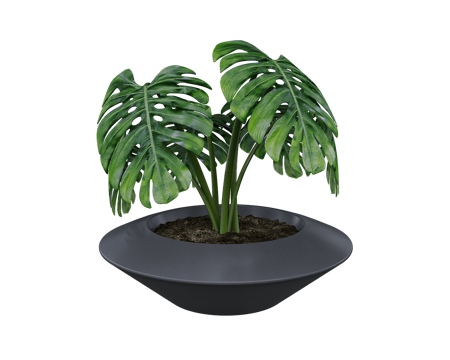  Serralunga 绿植3d模型 