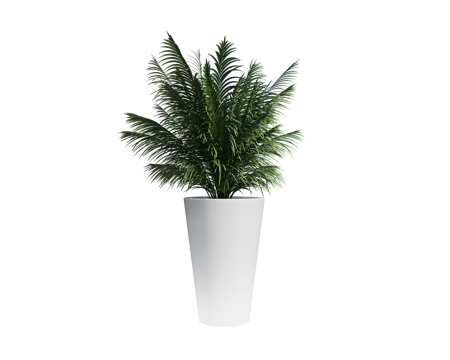  Serralunga 绿植3d模型 