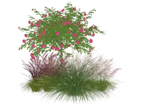 现代庭院植物堆组合su模型