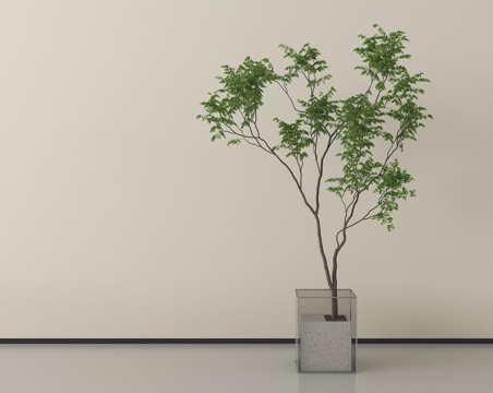 现代盆栽植物   盆栽盆景  绿植盆栽su模型