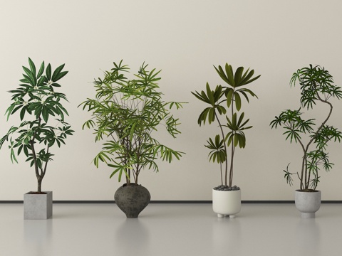 现代盆栽植物   盆栽盆景su模型