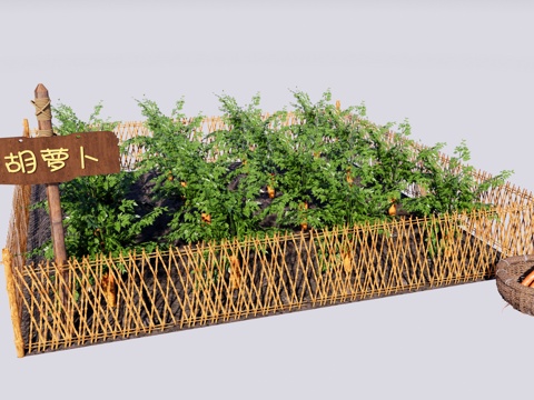 现代 菜园 乡村菜地菜园 胡萝卜种植园 一米菜园 蔬菜园su模型
