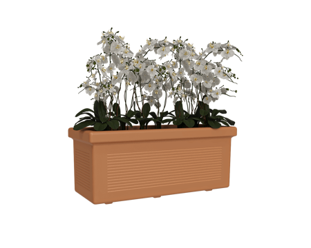  Serralunga 花盆3d模型 