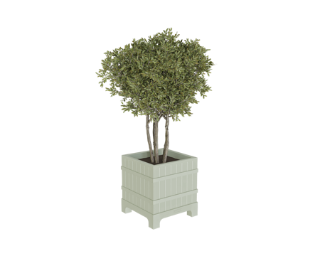  Serralunga 植物 花盆3d模型 