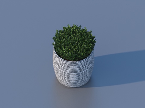  花盆 盆栽 绿植 植物3d模型 