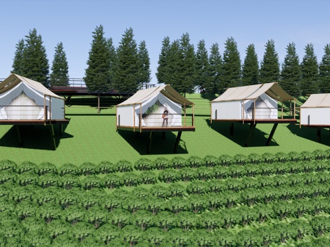 现代 民宿 茶山公园景观 山坡茶田 茶园观景台 乡村旅游景观su模型