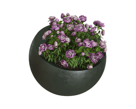  Serralunga 花盆3d模型 