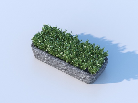  绿蓠 花草 植物 灌木3d模型 