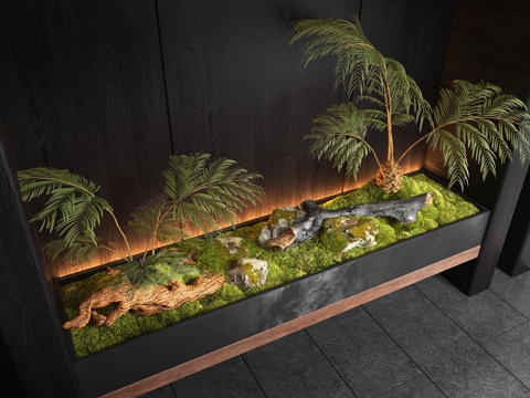 现代室内景观造景 景观植物 苔藓景观 景观造景su模型