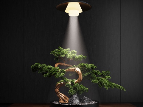 新中式禅意花瓶 花艺摆件 插花su模型