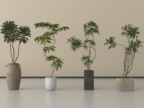 现代盆栽 植物盆栽 绿植 盆栽 盆景su模型