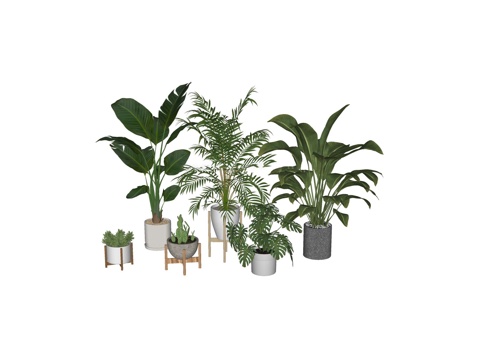 花草免费su模型