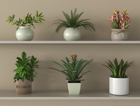 现代盆栽 绿植 盆栽 盆景su模型