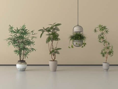 现代盆栽 植物盆栽 绿植 盆栽 盆景su模型