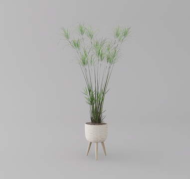 绿植盆栽su模型