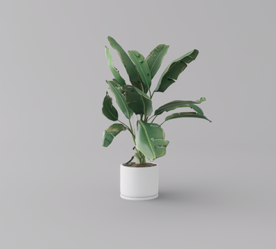 绿植盆栽su模型