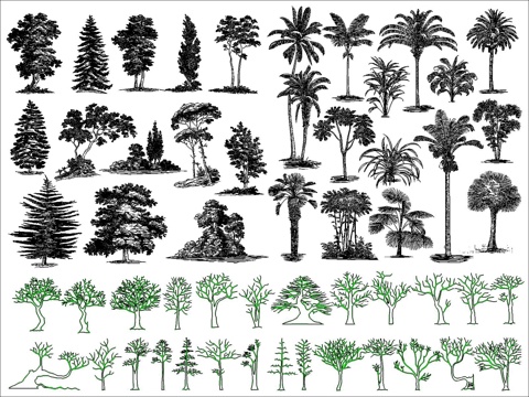 现代树木cad施工图