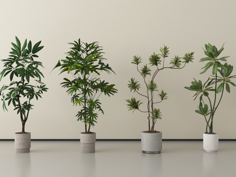 盆栽 绿植 盆栽 绿植盆栽组合su模型