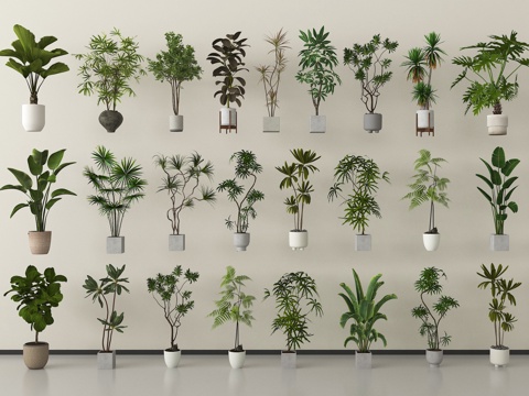 盆栽 绿植 盆栽 绿植盆栽组合su模型