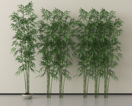 现代竹子  景观竹子su模型