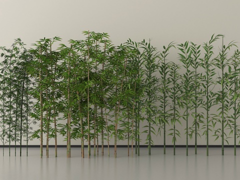 现代竹子  景观竹子su模型