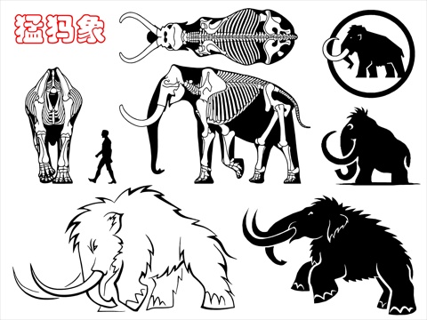 猛犸象图块cad施工图