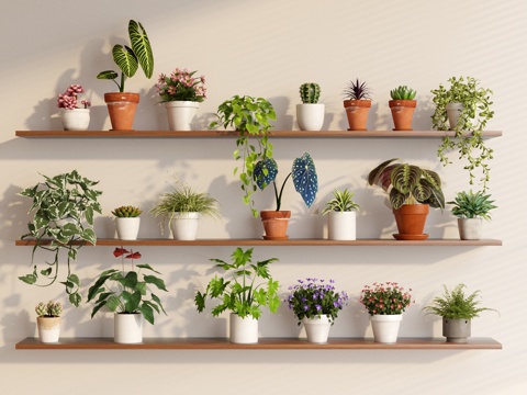 绿植 盆栽 吊兰 植物 装饰摆件su模型