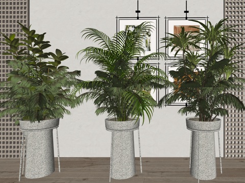 现代室内绿植盆栽植物su模型