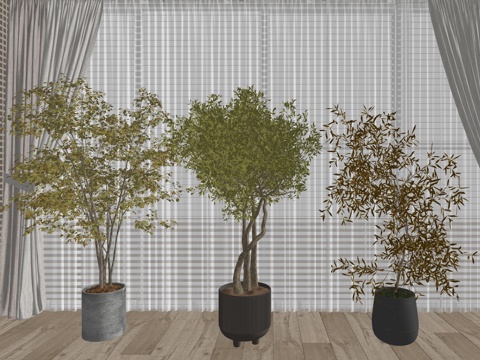 现代室内绿植盆栽植物su模型