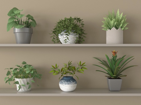 现代多肉盆栽 盆景 绿植su模型