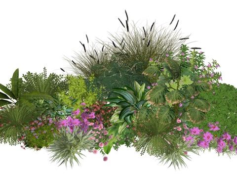 现代庭院植物堆景观组合su模型