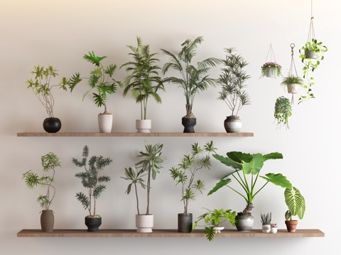 绿植 绿植组合 盆栽 植物su模型