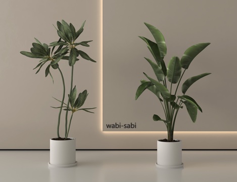 现代植物盆栽盆景 绿植组合su模型