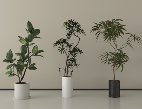 现代植物盆栽盆景 绿植组合su模型