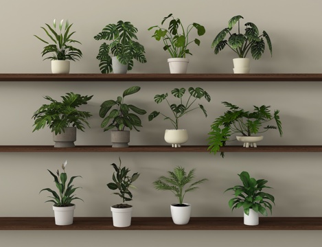 现代植物盆栽盆景 绿植组合su模型