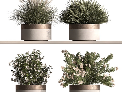  现代绿植盆景 盆栽 花盆3d模型3d模型 