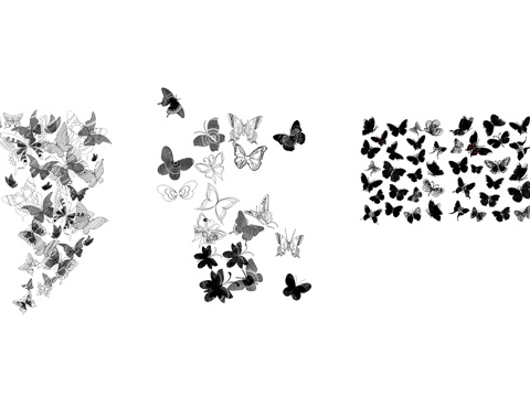 蝴蝶生物图库cad施工图