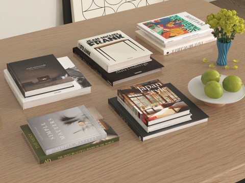 现代书籍 书本 摆件su模型