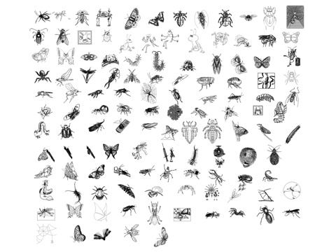 昆虫动物图库cad施工图