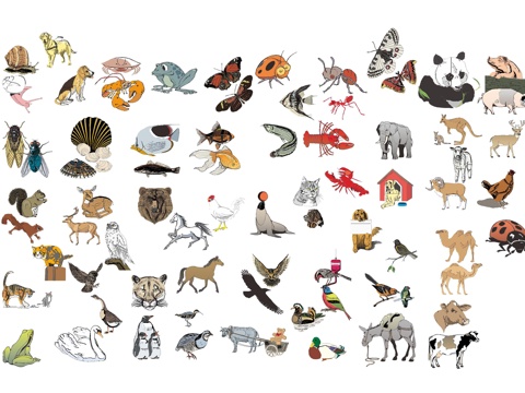 各类动物图库cad施工图