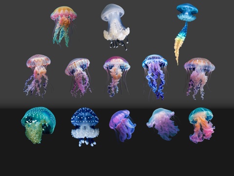 2D动物 水母 海洋馆 水族馆 动物世界su模型