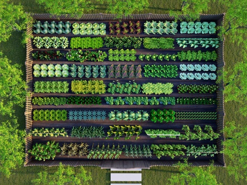 现代农作物 一米菜园 蔬菜 庄稼 菜园菜地农地 农产品 粮食su模型