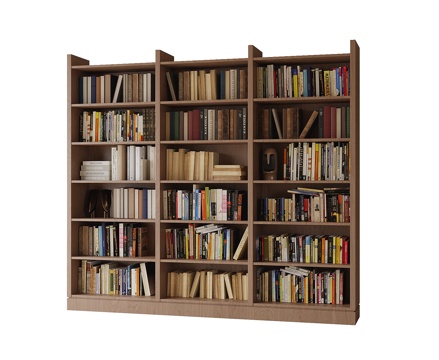 现代书柜 书籍摆件su模型