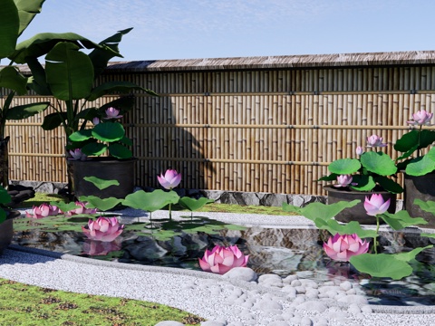 新中式 景观小品 荷花庭院花园 荷塘 荷花池 禅意水缸小品su模型