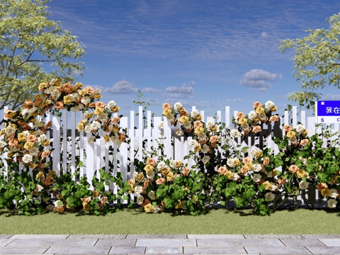 现代 玫瑰花 庭园玫瑰花墙 藤蔓藤本 爬藤植物 月季花 蔷薇su模型