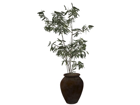 现代绿植盆栽植物su模型