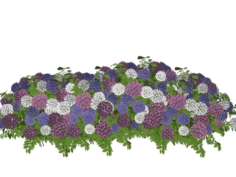 花卉花草植物su模型